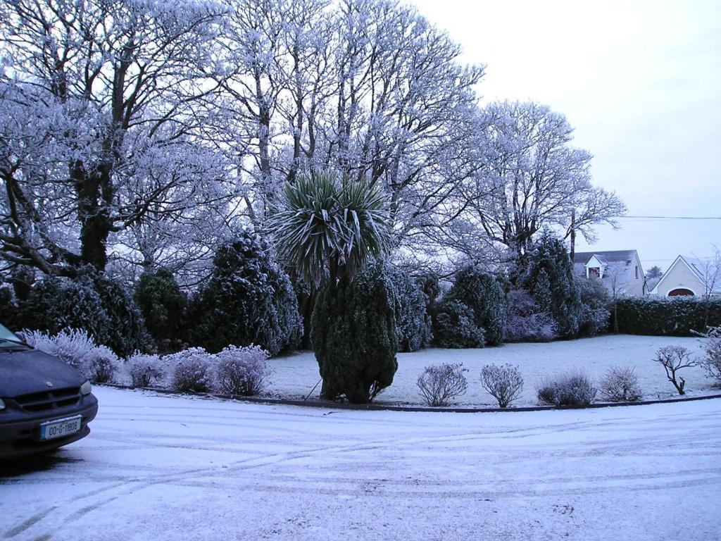 Mountain View Guesthouse Oughterard Exterior photo